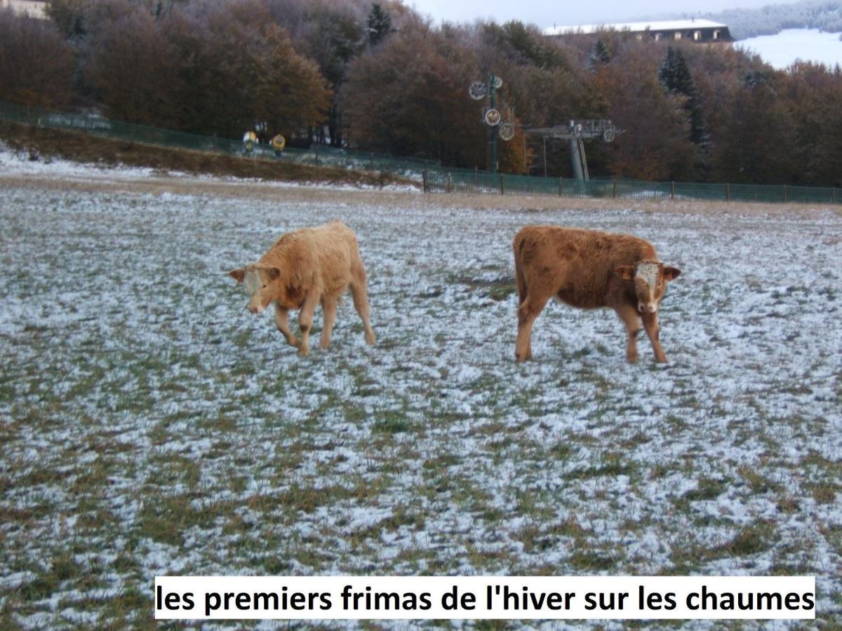 Le Chalet Bel Air Oderen Exterior photo